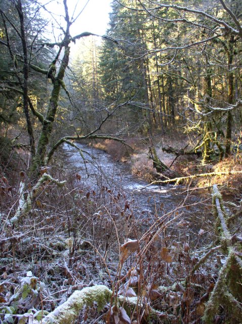 Silver Falls 12.10.05 022 
